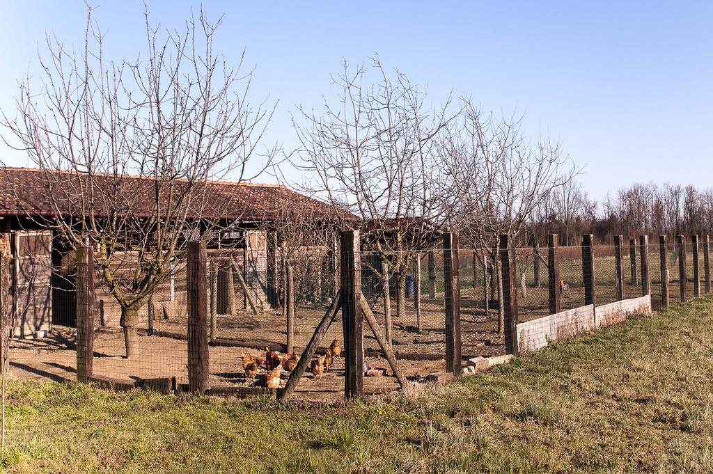 Agriturismo Cascina Aguzza Oleggio Exterior photo