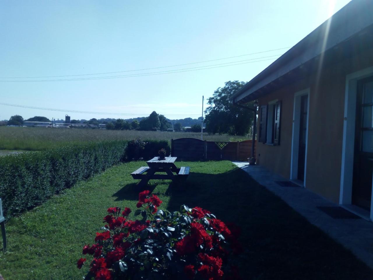 Agriturismo Cascina Aguzza Oleggio Exterior photo